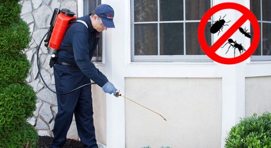 Seben Akrep İlaçlama böcek ilaçlama ve haşere kontrolü — ilaclama-tr.com